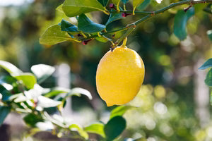 Mit der inneren Führung durchs Leben gehen