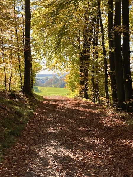 Regeneration für die reife Haut