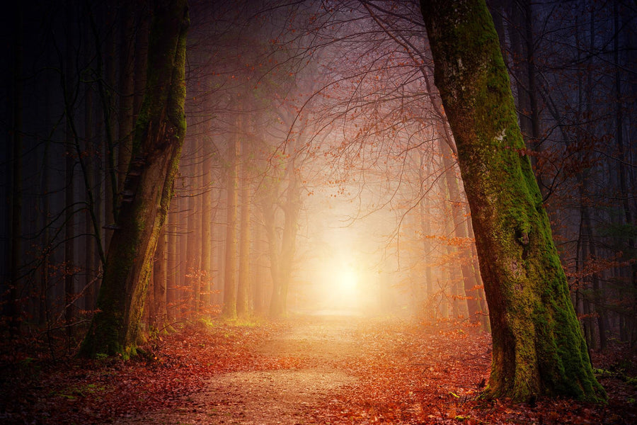 Der Sommer verneigt sich vor dem Herbst
