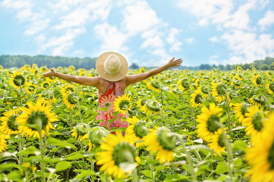 Endlich kommt der Sommer und mit ihm die Wärme